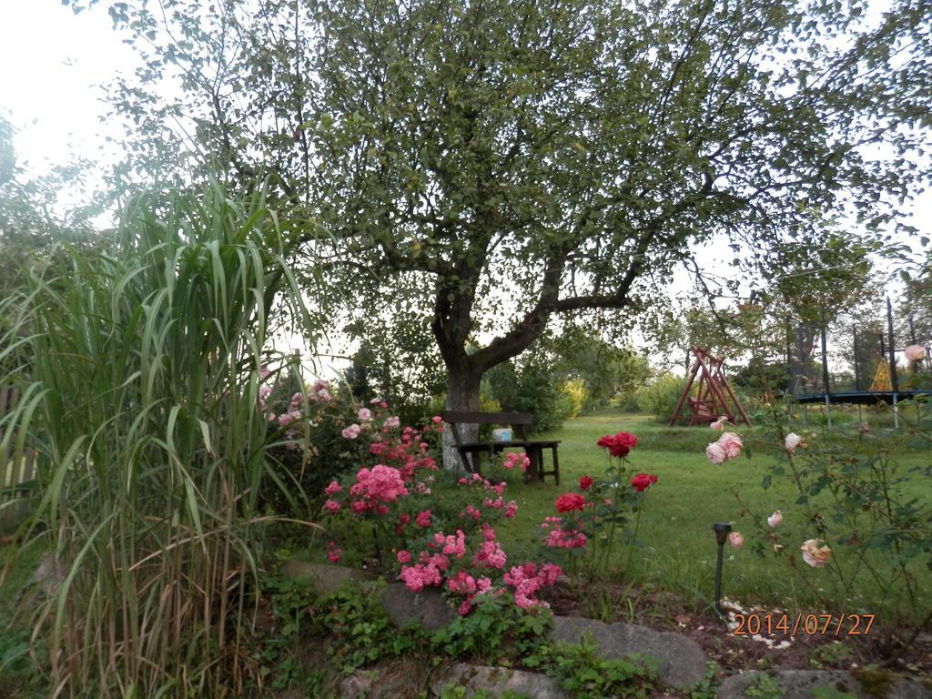 Zagroda Agroturystyczna Wiecha Mieroszow Exteriör bild